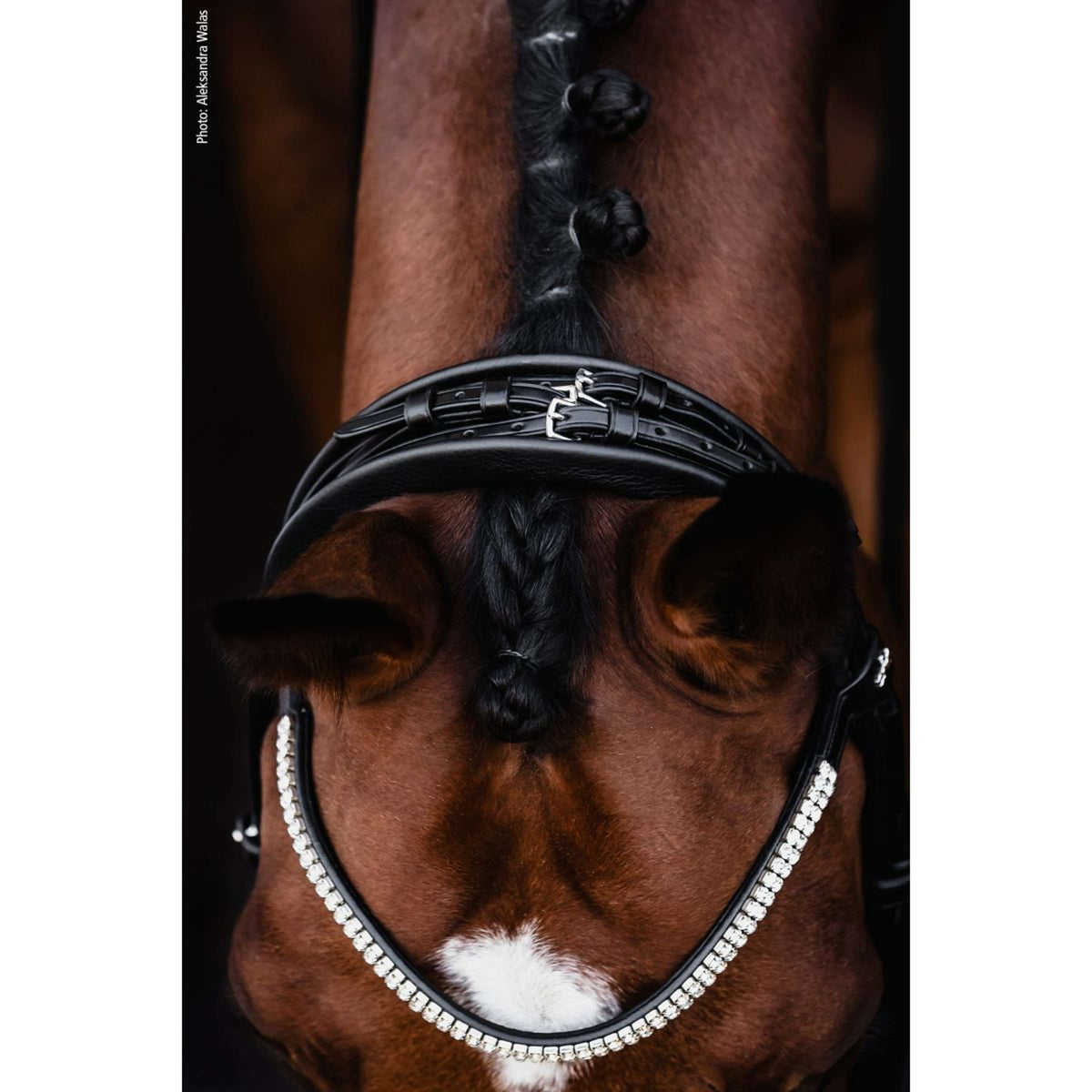 Schockemöhle Kandarenzaum SP Isabell Werth Bella Rose Schwarz/Weiß/Silber