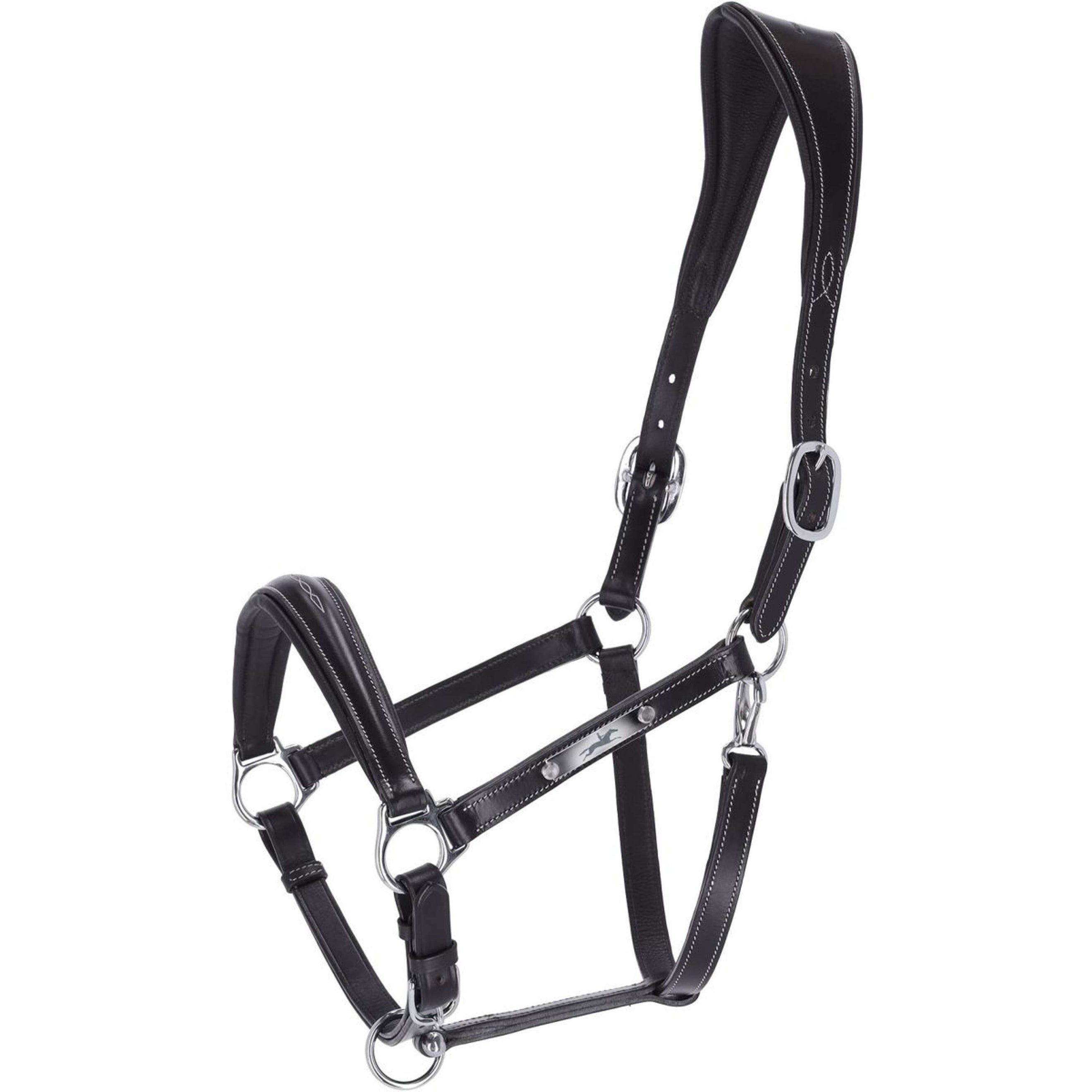 Schockemöhle Halfter Frisco F Schwarz/Cream/Silber