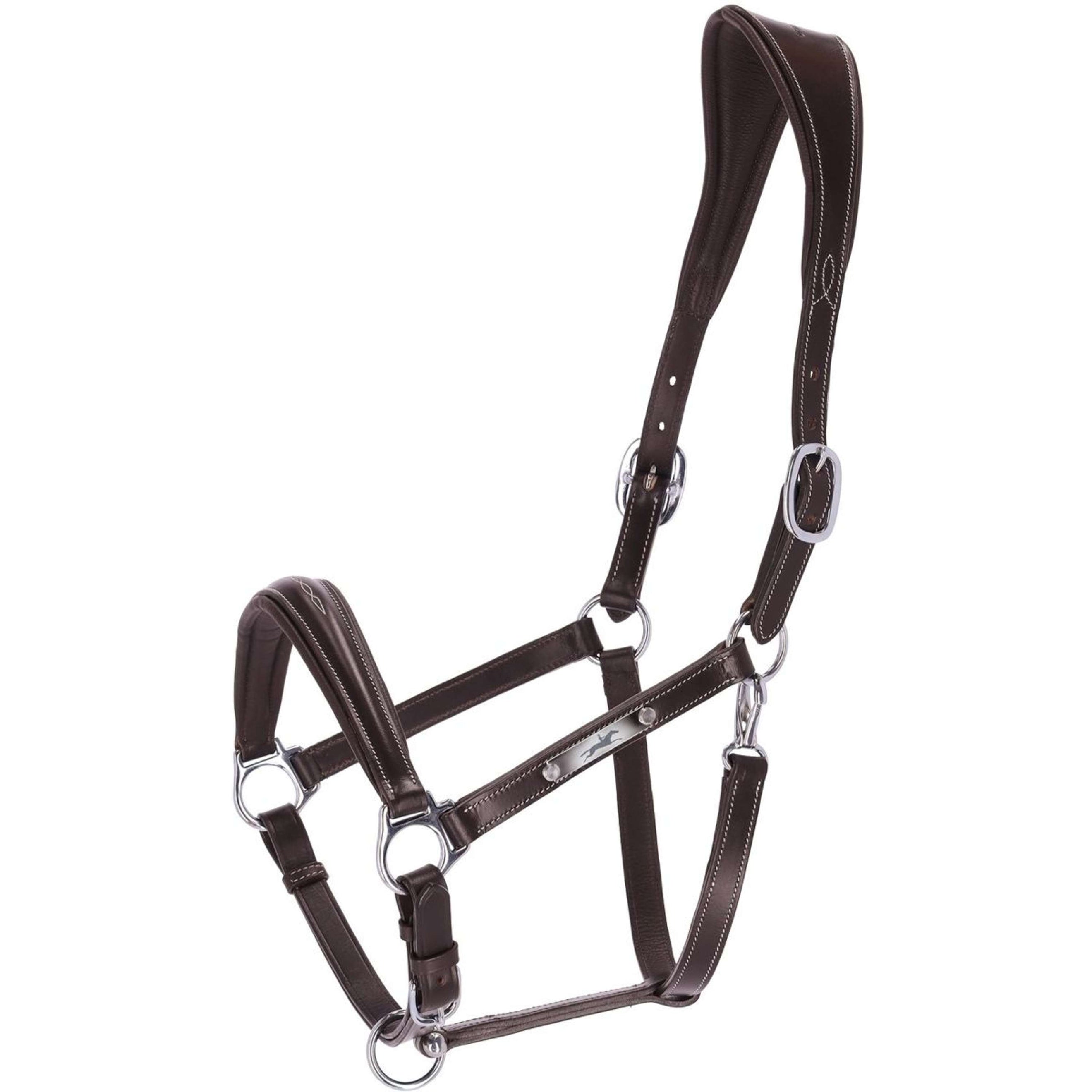 Schockemöhle Halfter Frisco F Dunkelbraun/Creme/Silber Schockemöhle Halfter Frisco F Dunkelbraun/Creme/Silber