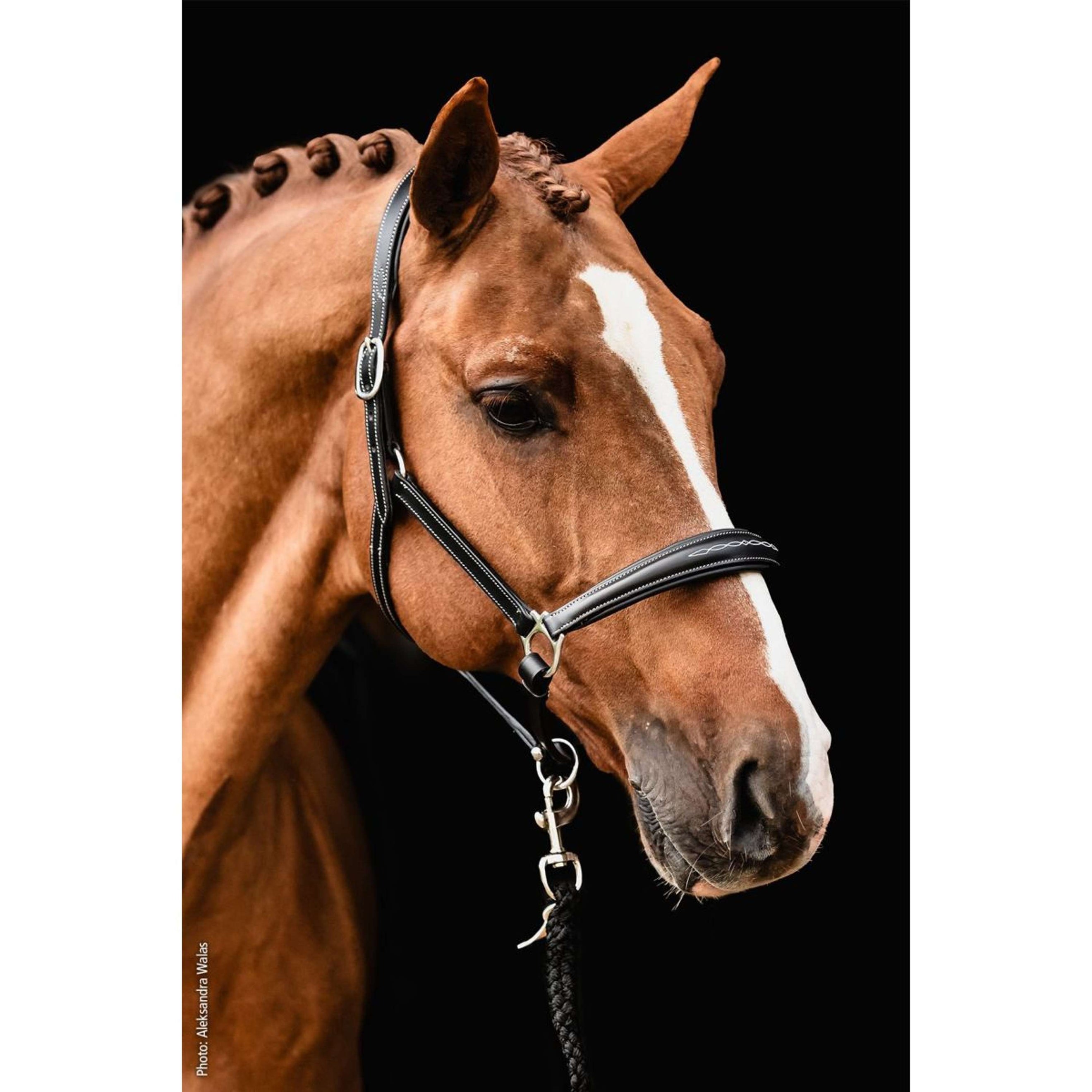 Schockemöhle Halfter Fremont Pro Schwarz/Silber