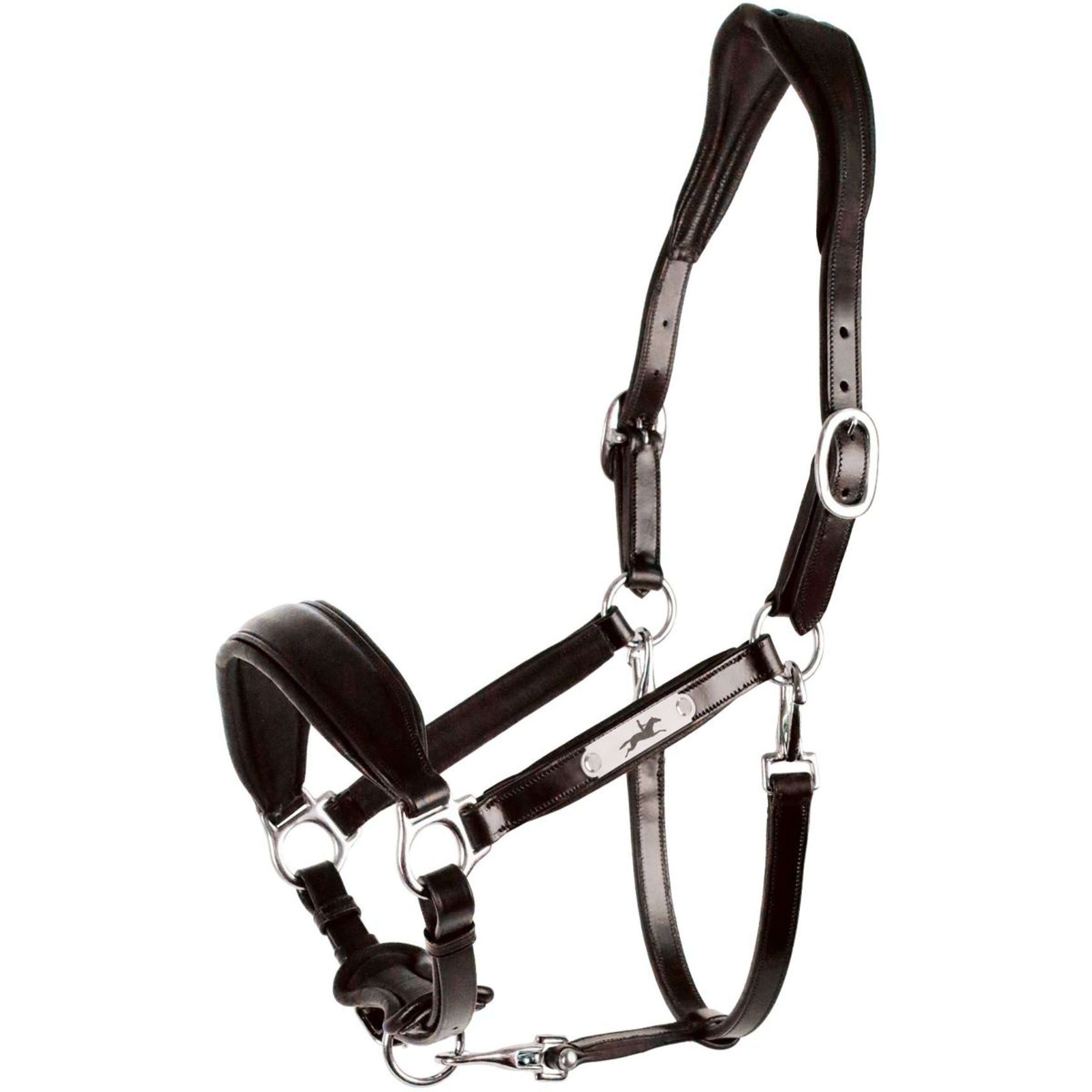 Schockemöhle Halfter Fremont Pro Espresso/Silber Schockemöhle Halfter Fremont Pro Espresso/Silber