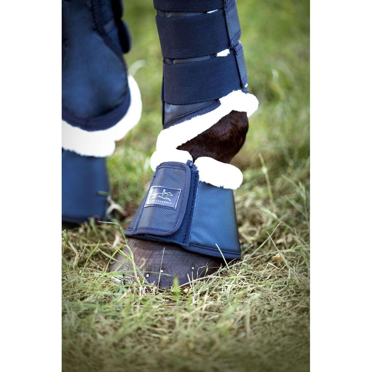 Schockemöhle Dressage Boots Cosy Dunkelblau