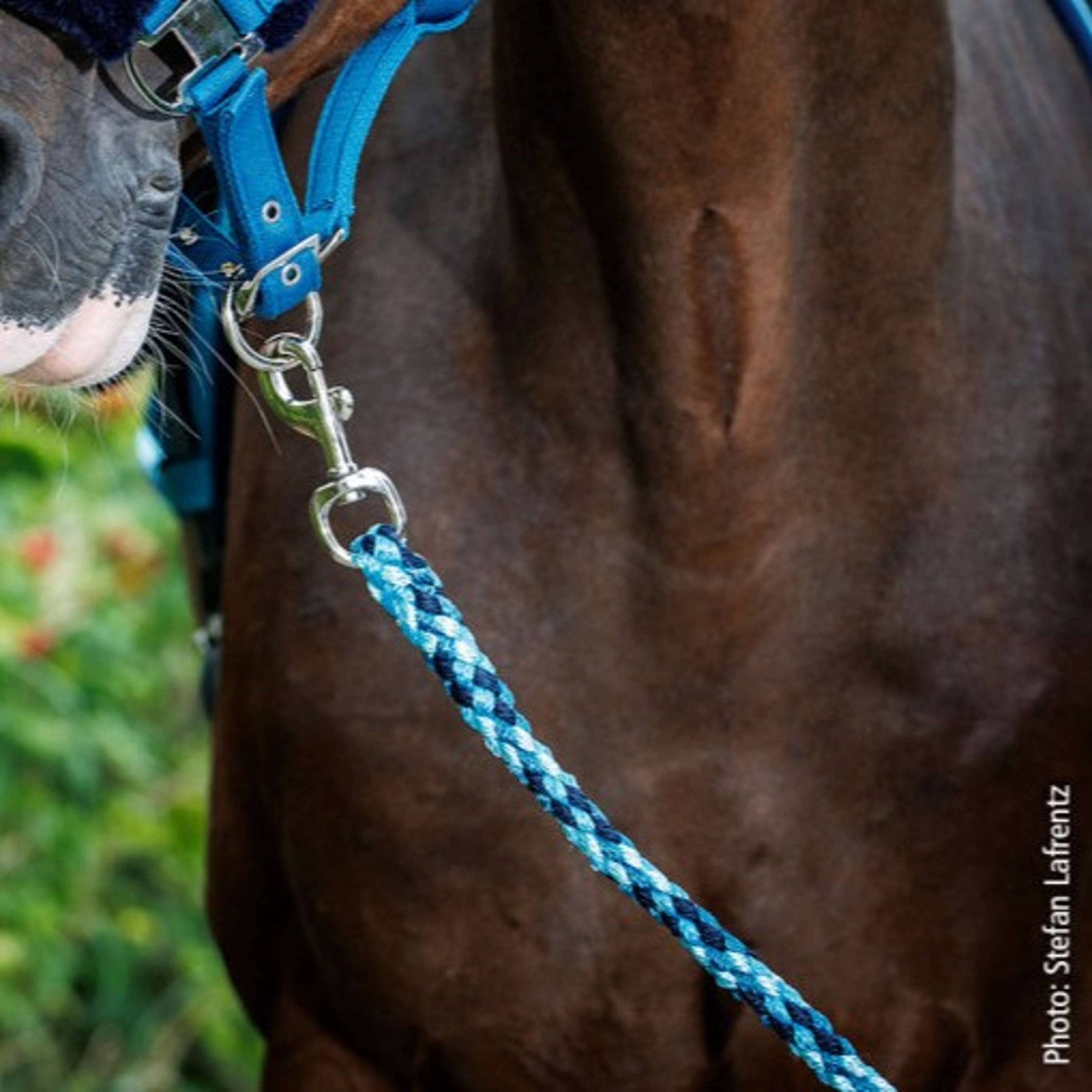 Schockemöhle Führstrick SP Catch Style Karabinerhaken Colonial Blue/Mint/Navy Schockemöhle Führstrick SP Catch Style Karabinerhaken Colonial Blue/Mint/Navy