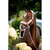 Schockemöhle Halfter SP Melbourne Soft Style Pale Pink