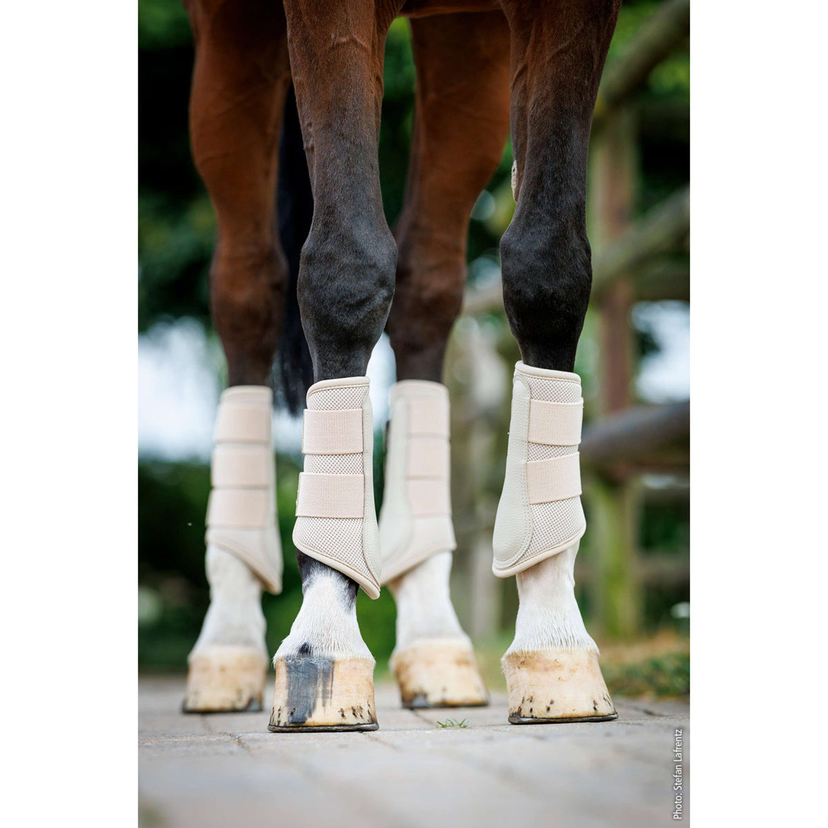 Schockemöhle Dressage Boots SP Mesh Guards Style Stein