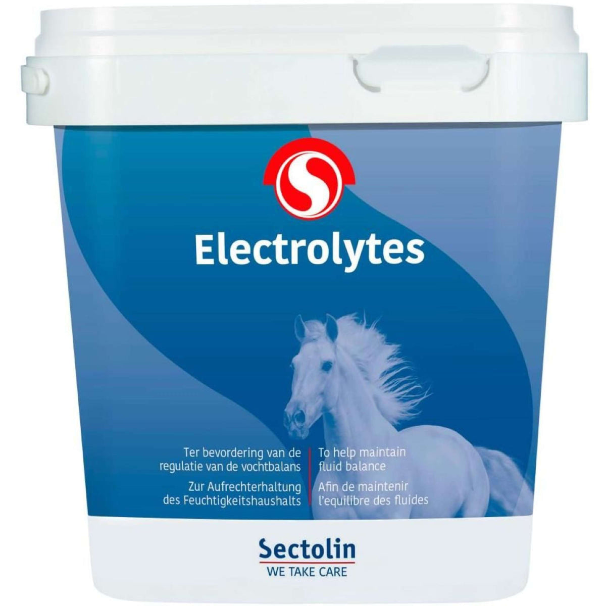 Sectolin Electrolyten