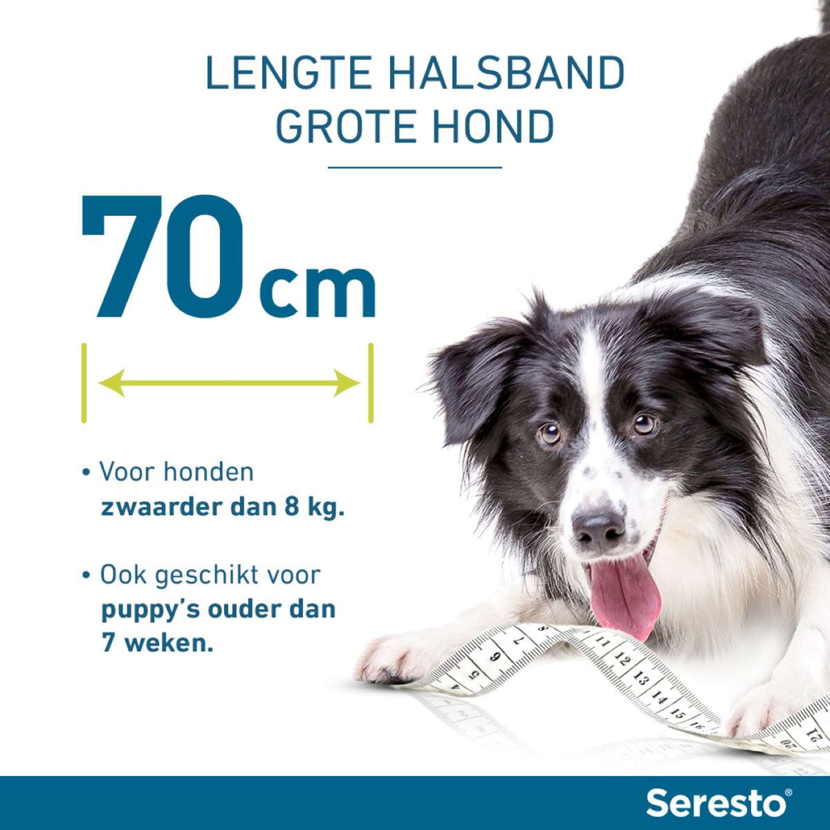 Seresto Zecken & Flohhalsband Großer Hund ab 8kg