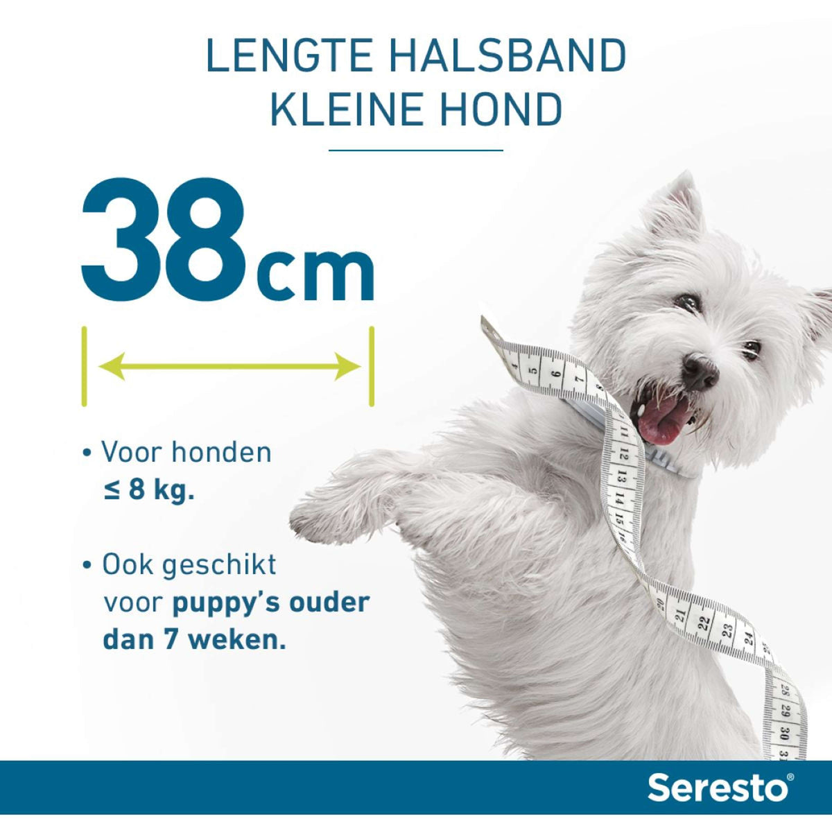 Seresto Zecken & Flohhalsband Kleiner Hund bis 8kg