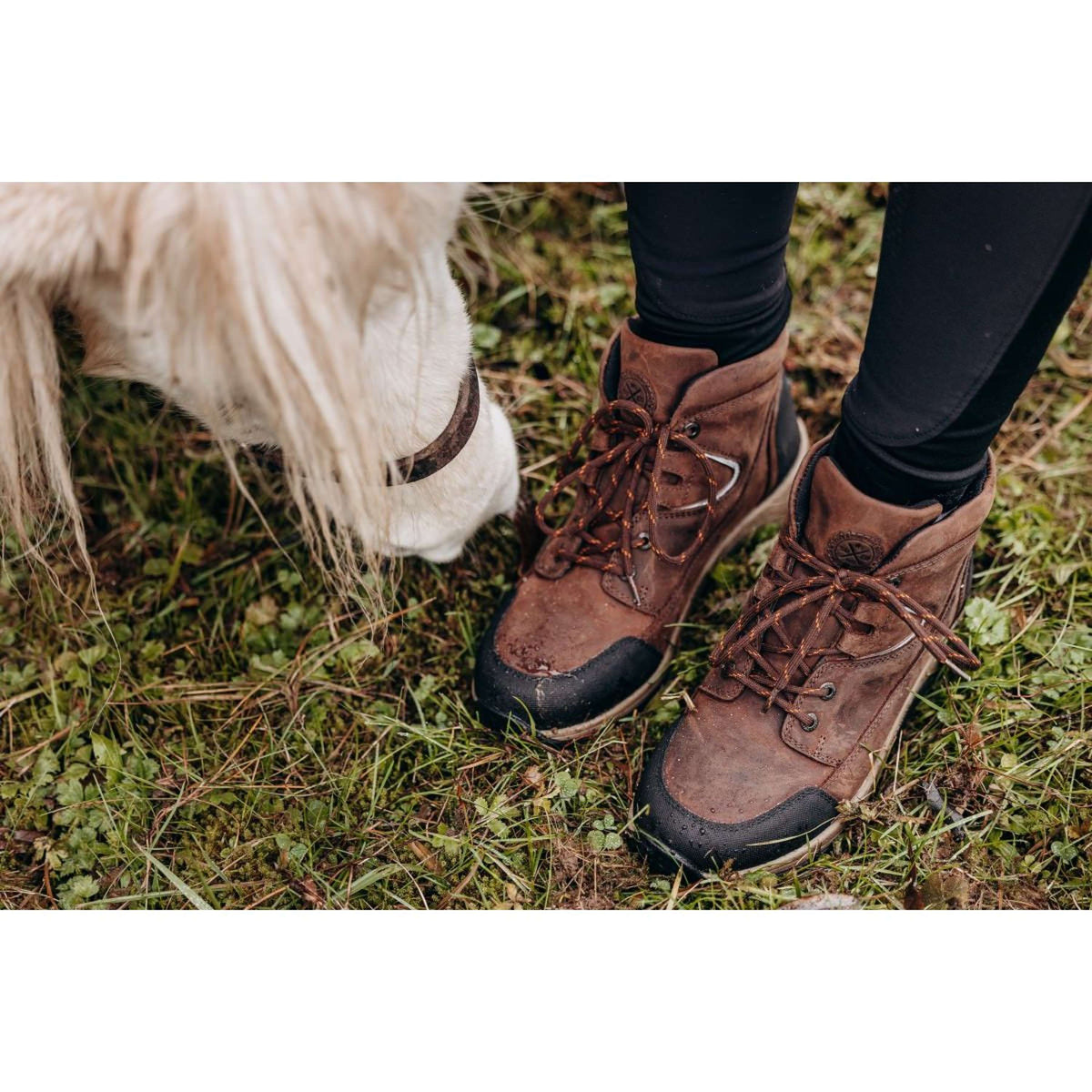 Suedwind Stiefelette Field Lace GripFTX Schokolade