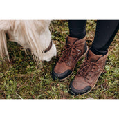 Suedwind Stiefelette Field Lace GripFTX Schokolade