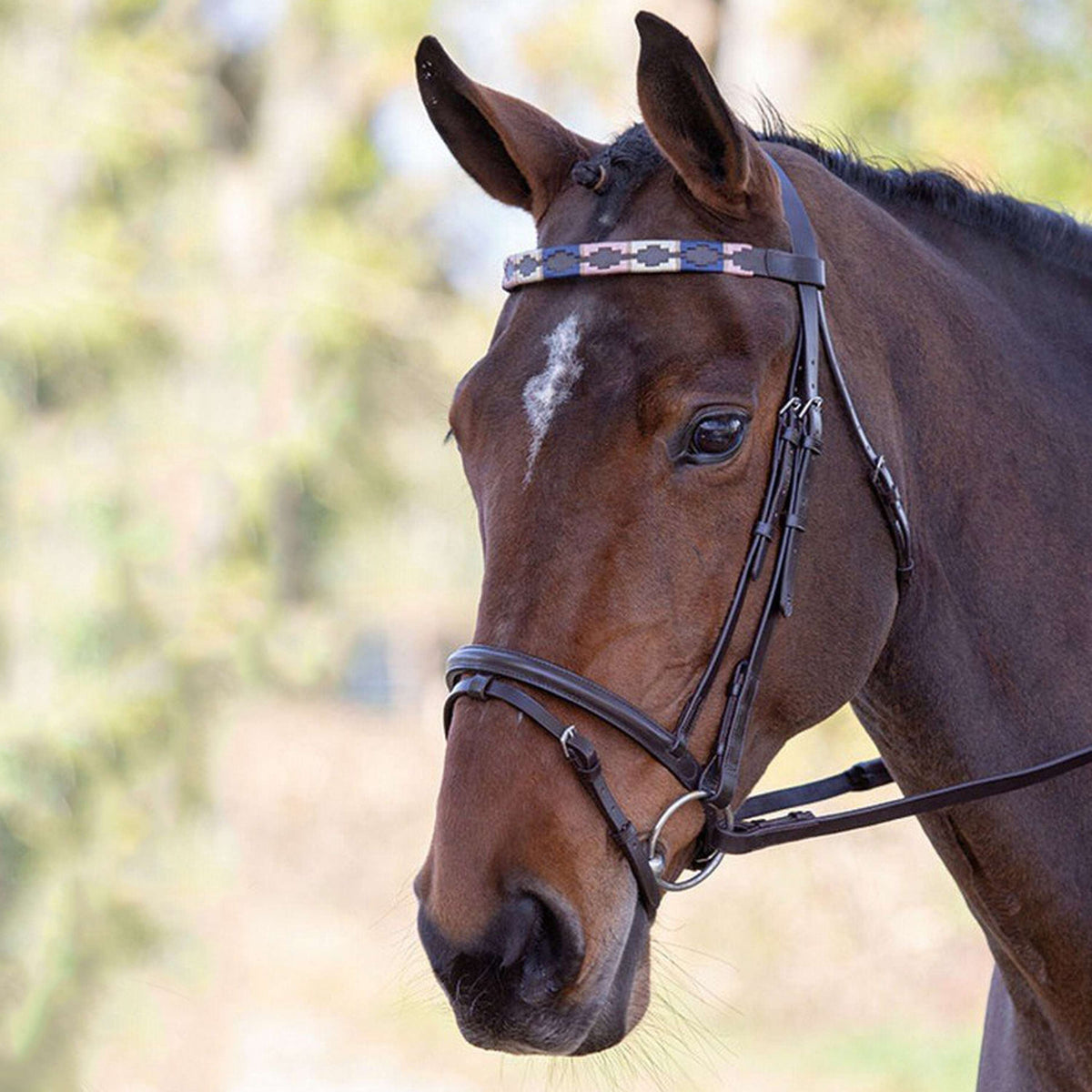 Blenheim by Shires Stirnriemen Leder Rosa/Natur/Navy