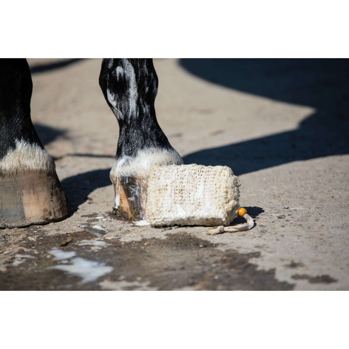 VITALstyle Shampoo Block Sensitive & Honey