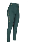 Aubrion Reitleggings Team Winter Grün