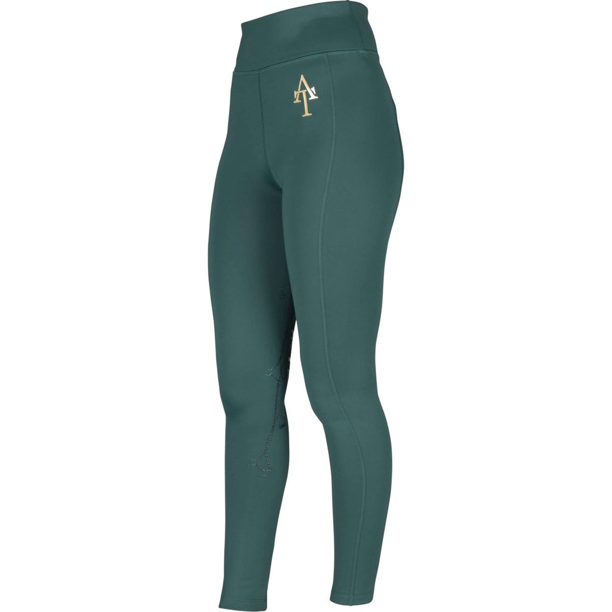 Aubrion Reitleggings Team Winter Grün