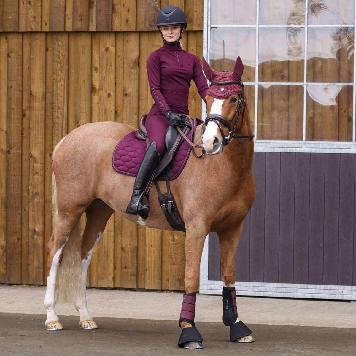 Arma by Shires Schabracke Eltar Vielseitig Black Cherry