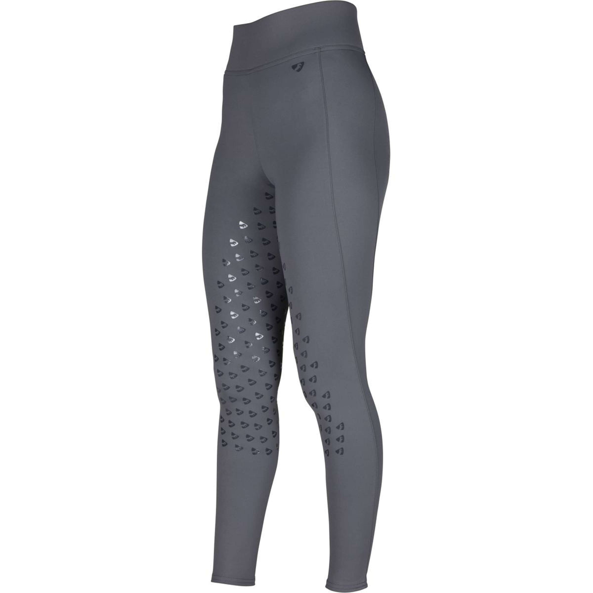 Aubrion Reitleggings Eltar Full Grip Grau