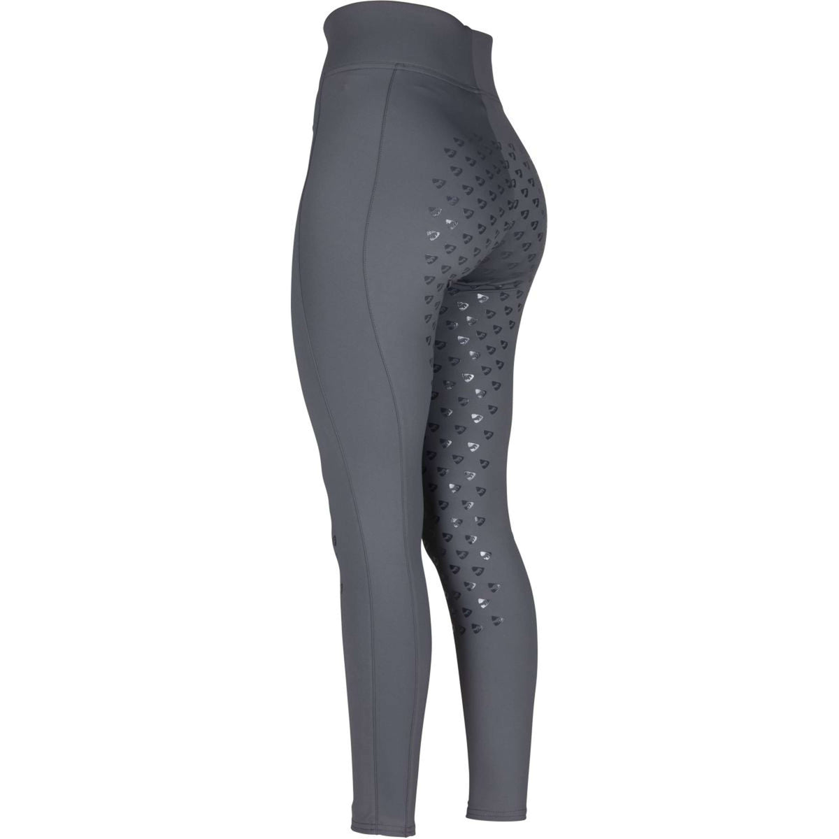 Aubrion Reitleggings Eltar Full Grip Grau