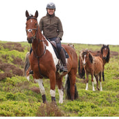 Aubrion by Shires Pullover Heritage Fleece Dunkelolive