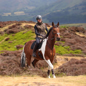 Aubrion by Shires Weste Heritage Dunkelolive
