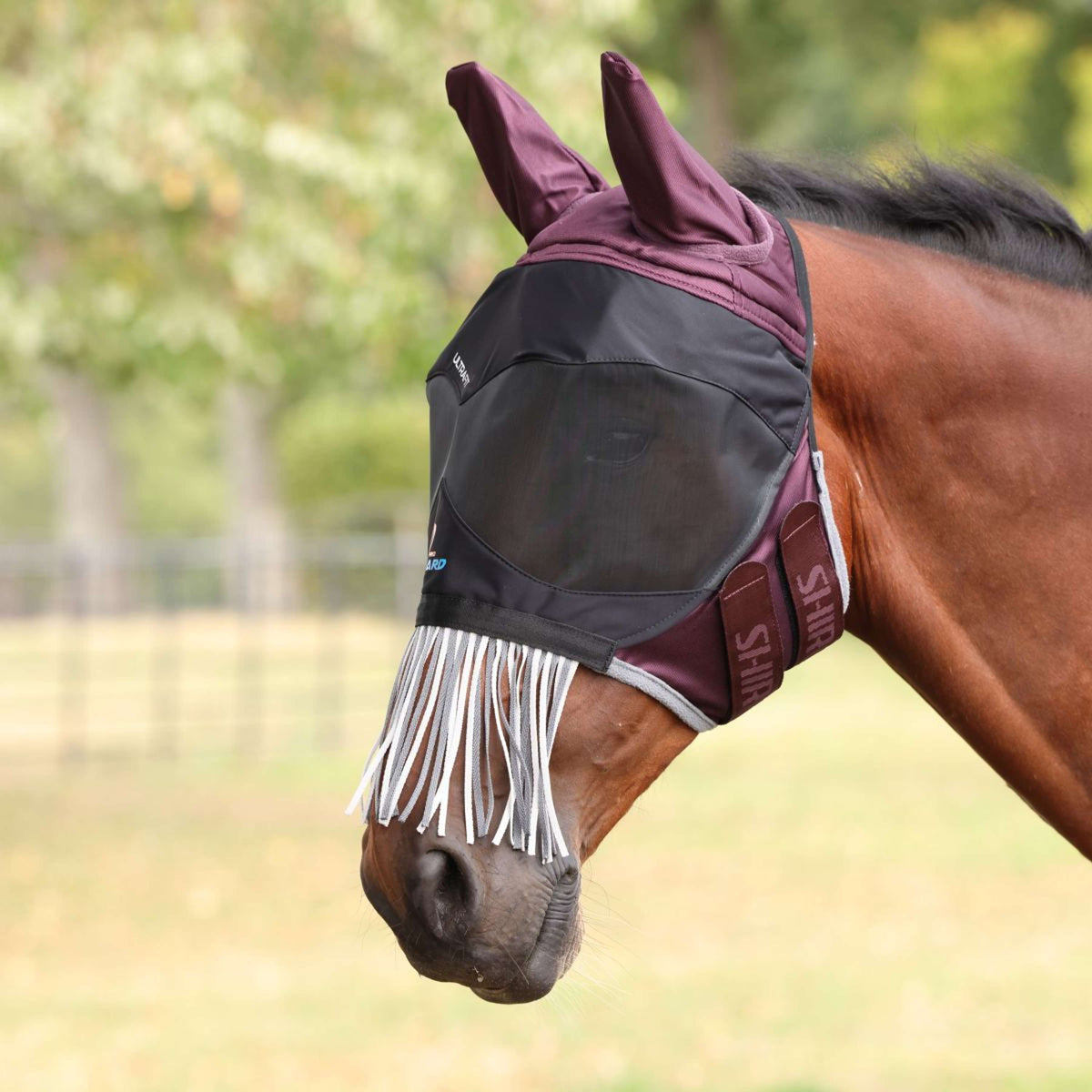 FlyGuard Fliegenmaske Pro Deluxe mit Ohren und Fransen Black Cherry
