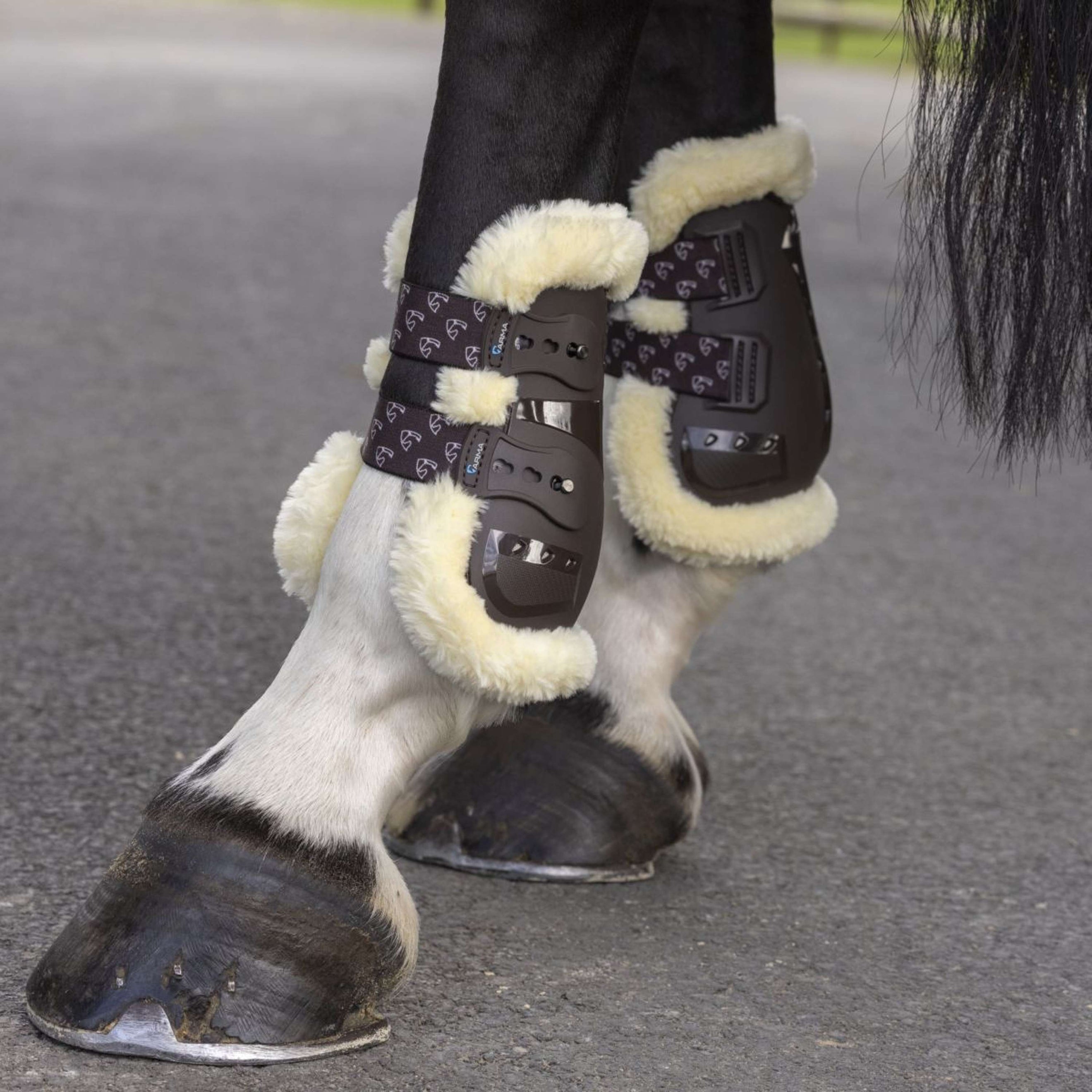 Arma by Shires Fesselkopfgamasche Carbon Pro SupaFleece Braun Arma by Shires Fesselkopfgamasche Carbon Pro SupaFleece Braun