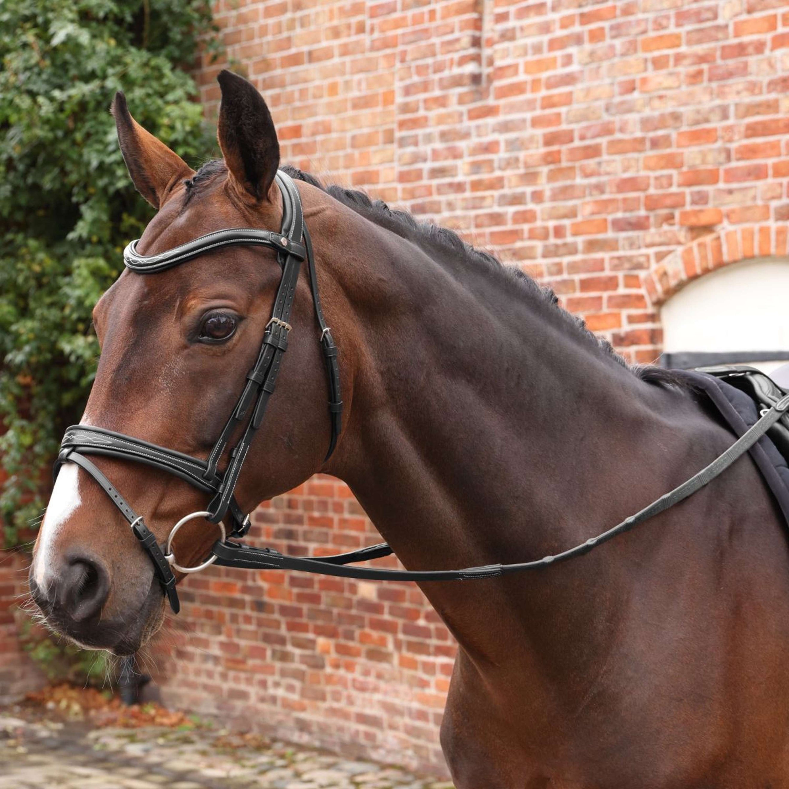 Velociti by Shires Zügel Lusso Elite Pro SureGrip Schwarz