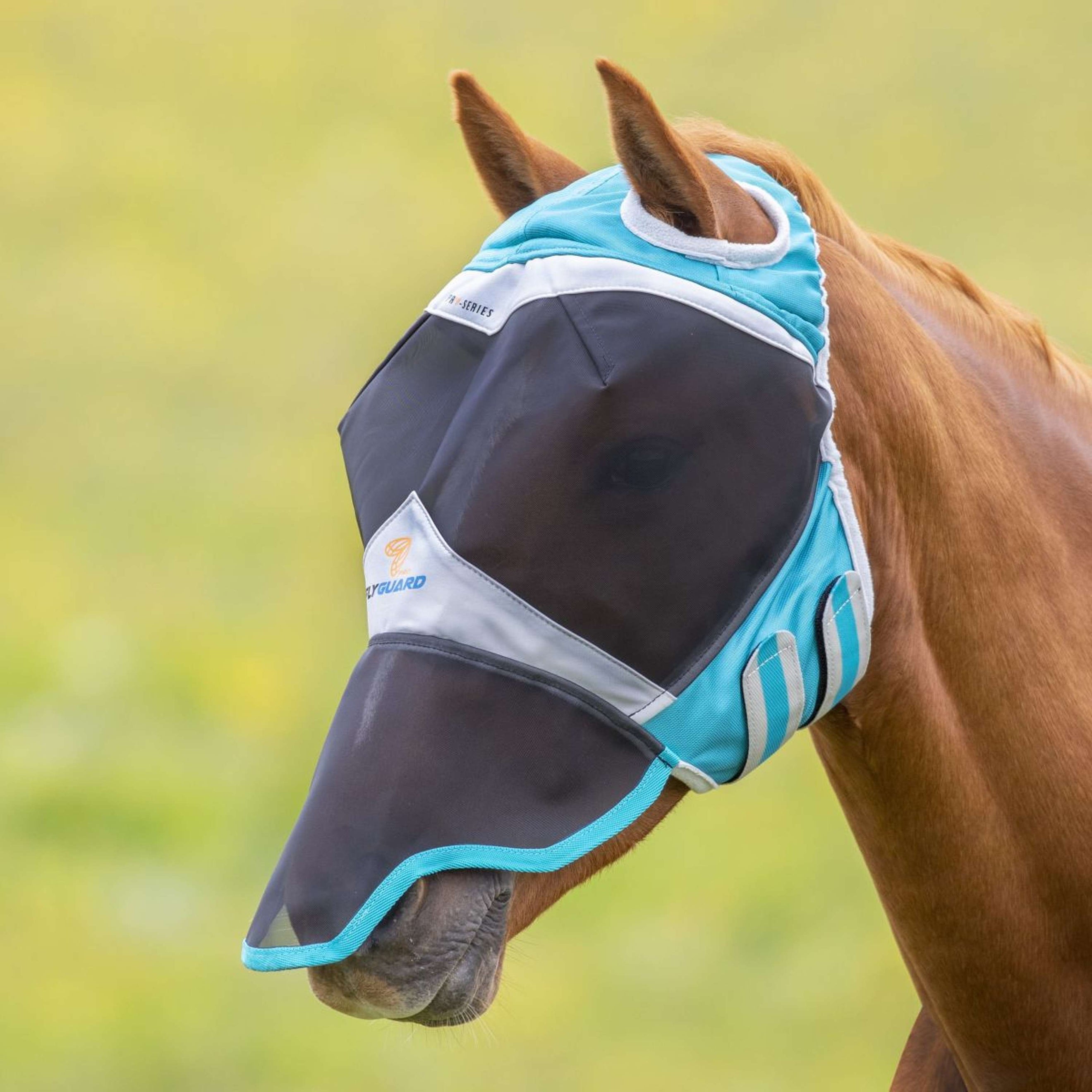 Shires Fliegenmaske mit Nase und Ohne Ohren Teal Shires Fliegenmaske mit Nase und Ohne Ohren Teal