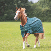 Tempest Original Regendecke Typhoon Lite Grün