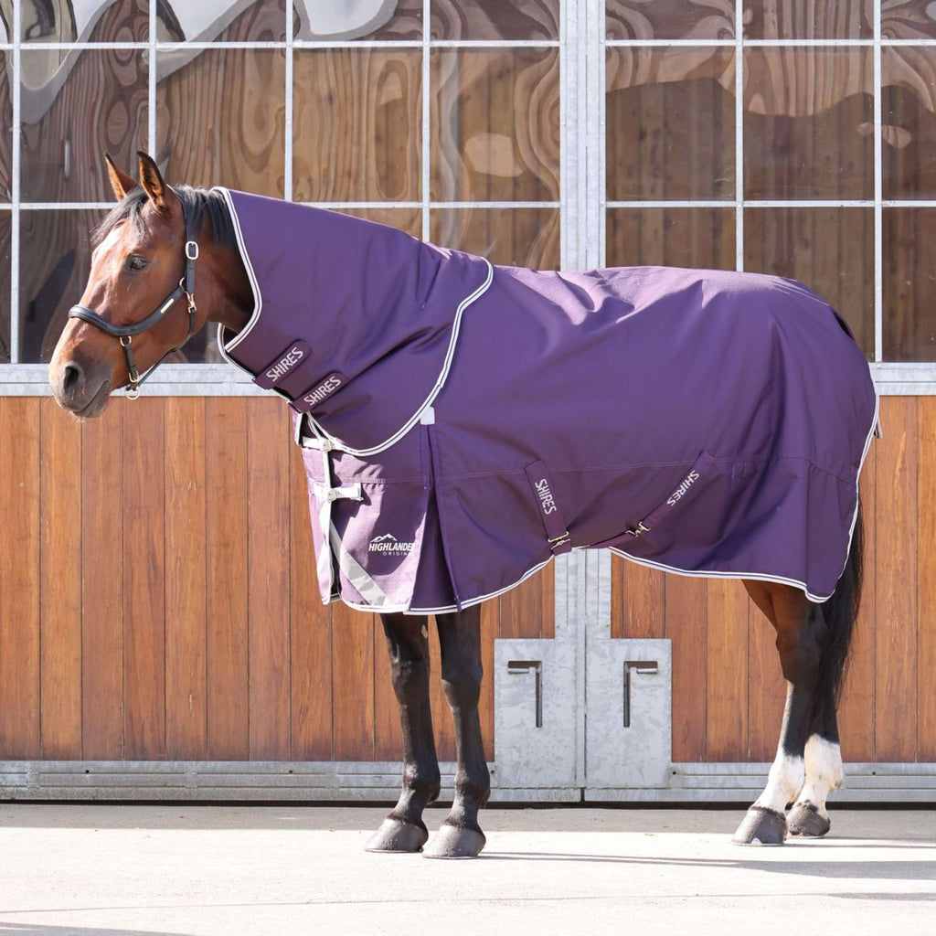 Shires Outdoordecke Original 100g Turnout mit Halsteil
