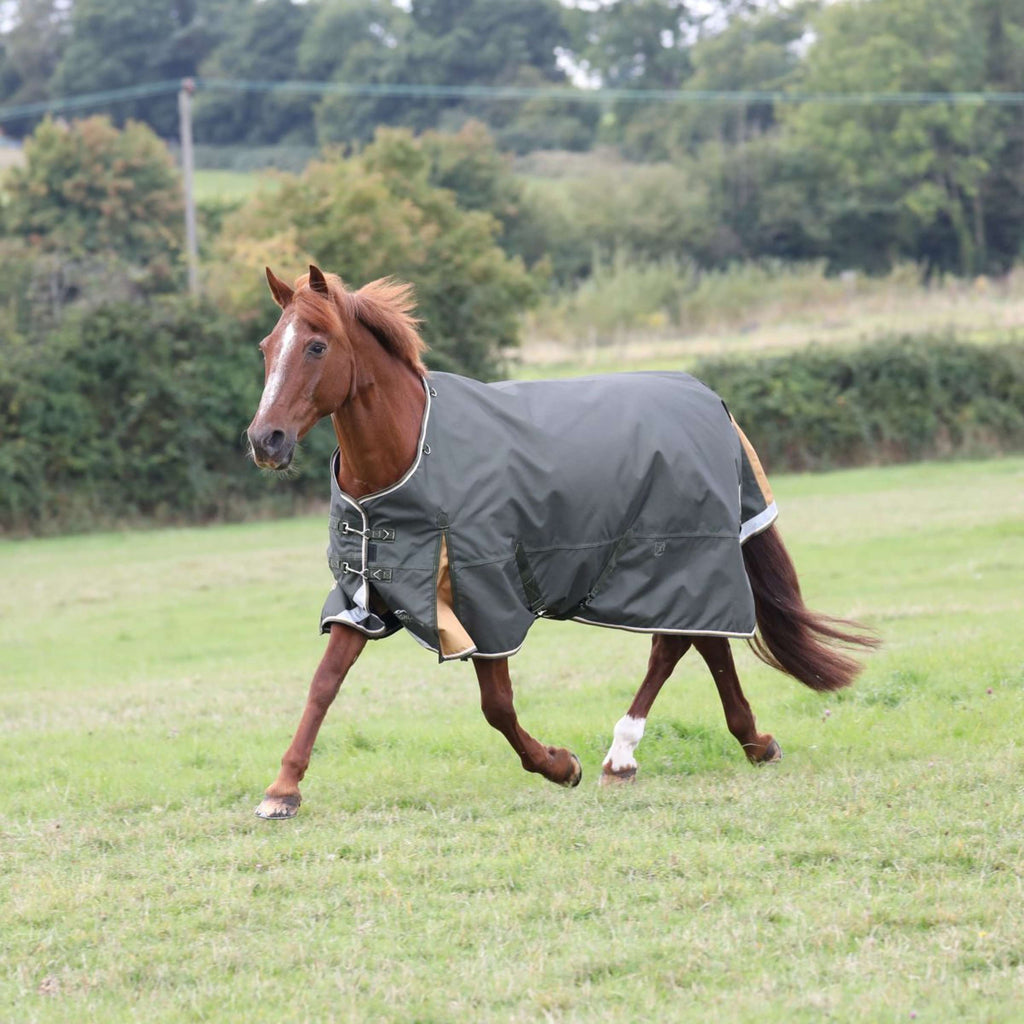 Highlander Plus by Shires Regendecke Turnout 50g Grün