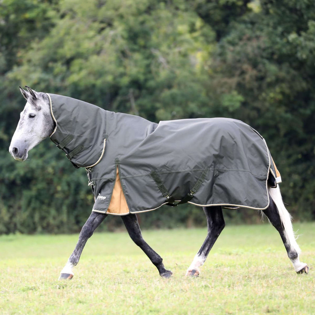 Highlander Plus by Shires Winterdecke Combo 50g Grün