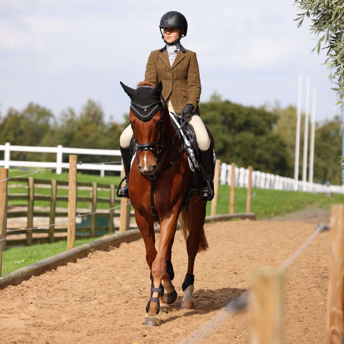 Aubrion by Shires Turnierjacket Saratoga Eichenbraun Check