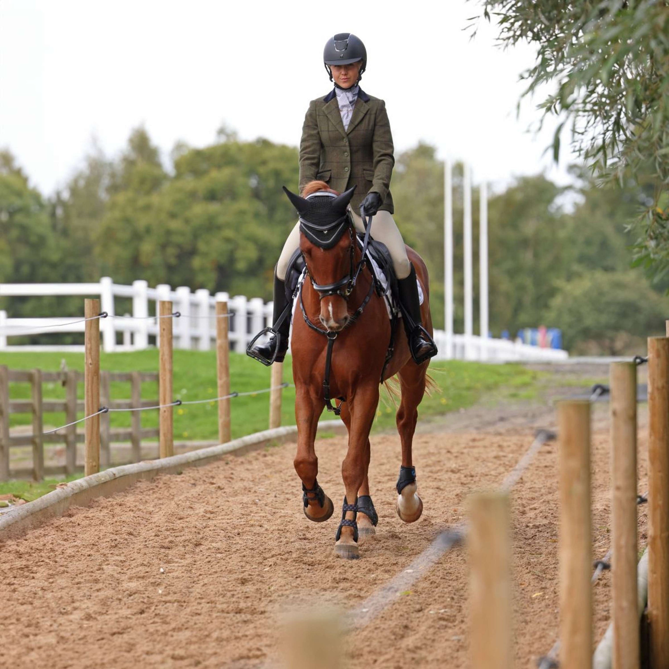 Aubrion by Shires Turnierjacket Saratoga Spruce Grün Check Aubrion by Shires Turnierjacket Saratoga Spruce Grün Check