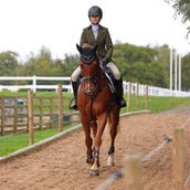 Aubrion by Shires Turnierjacket Saratoga Spruce Grün Check