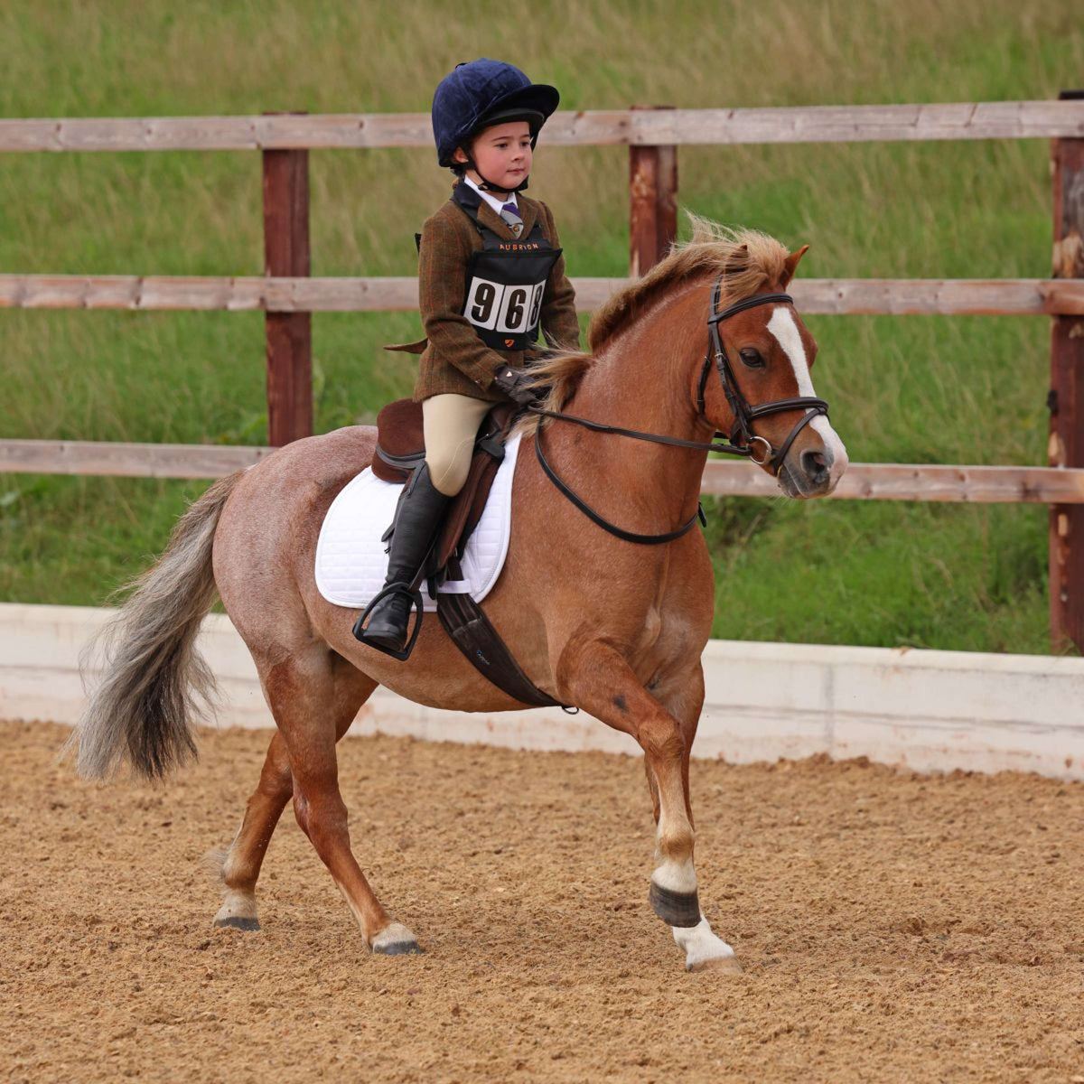 Aubrion by Shires Turnierjacket Saratoga Kinder Rost Check