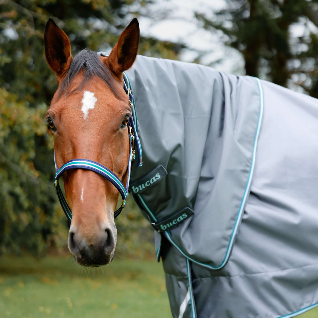 Bucas Halsstück Smartex Iron Gate/Teal