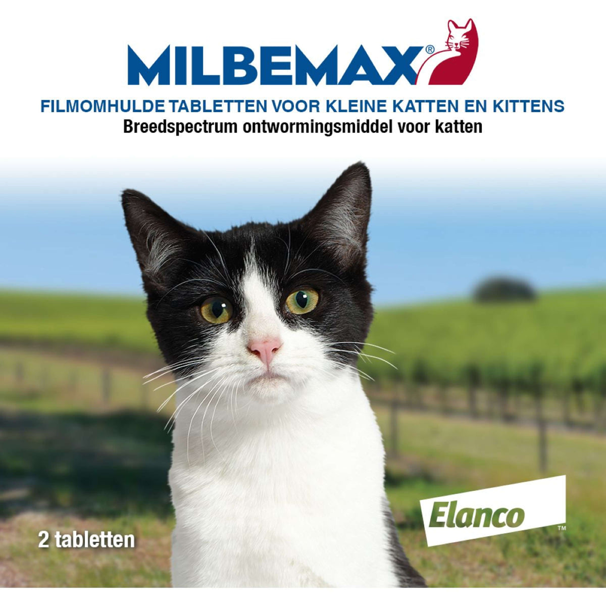 Milbemax Entwurmungstabletten Kätzchen/Katze Klein