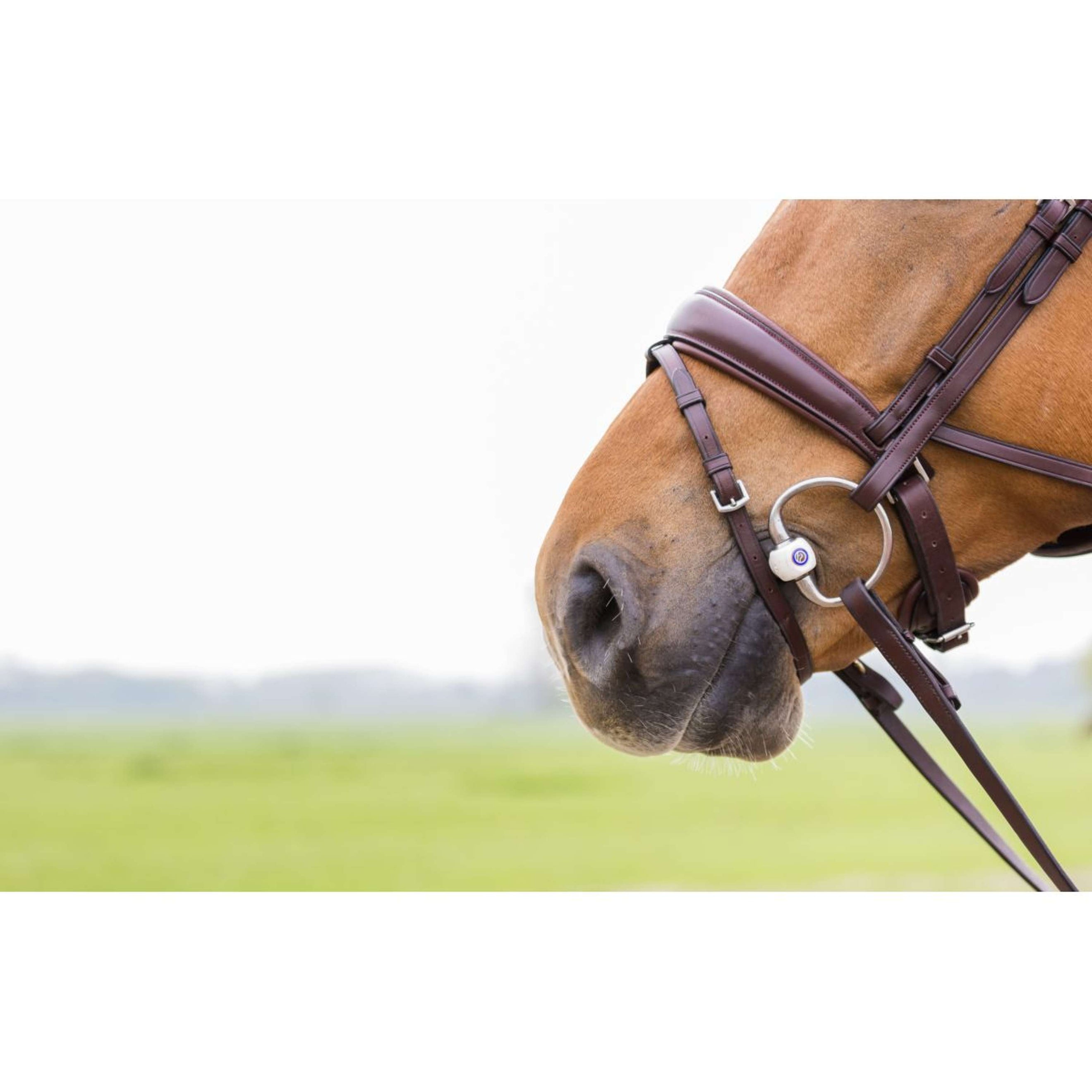 Trust Bus Stangengebiss Inno Sense Flexi Soft 15mm Trust Bus Stangengebiss Inno Sense Flexi Soft 15mm