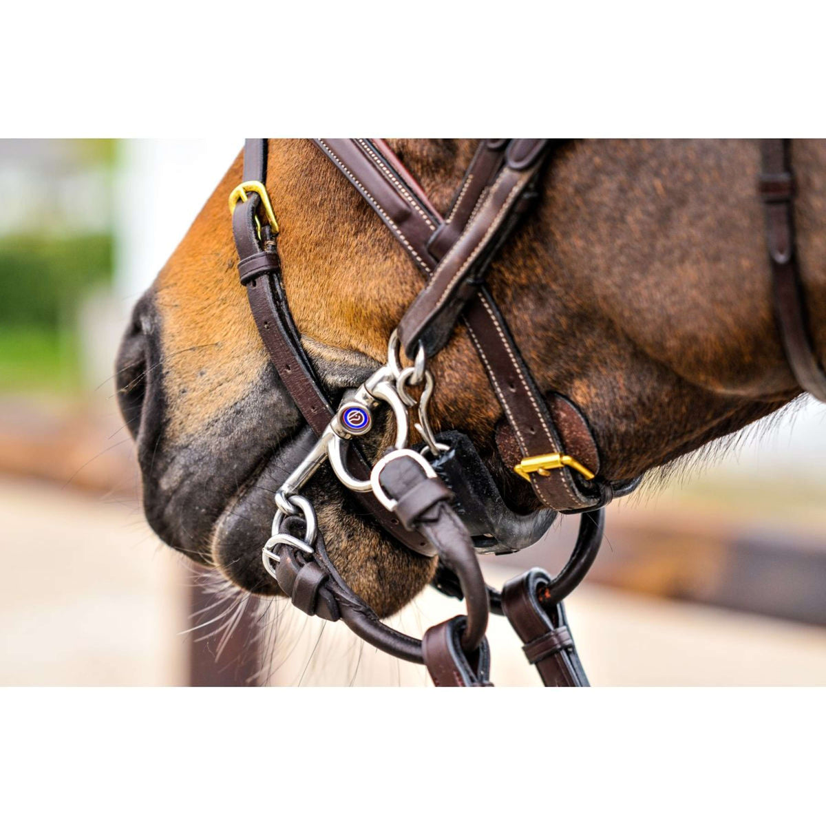 Trust Pelham Sweet Iron Doppeltgebrochen 16mm