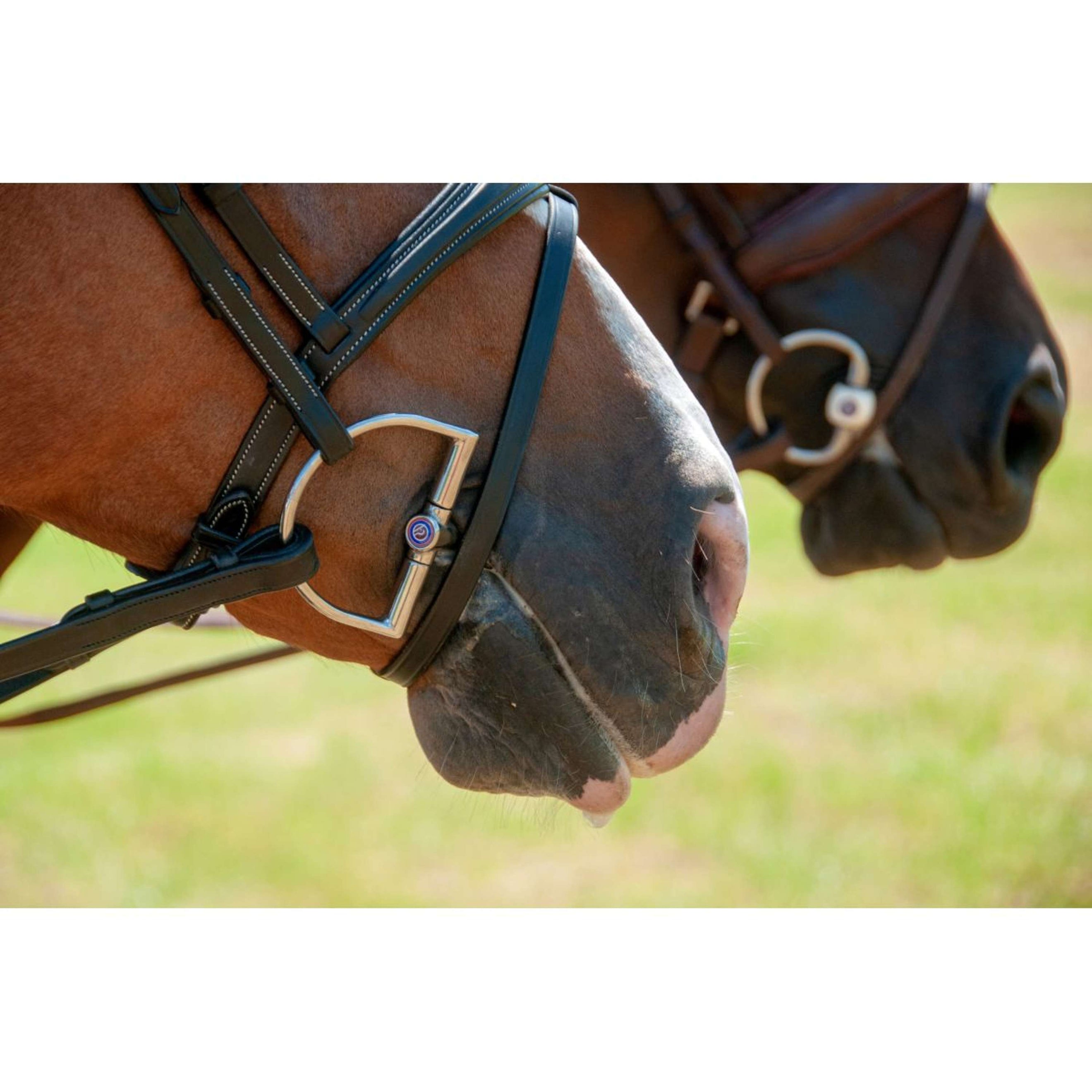 Trust D-Trense Inno Sense Flexi Soft 15mm Trust D-Trense Inno Sense Flexi Soft 15mm