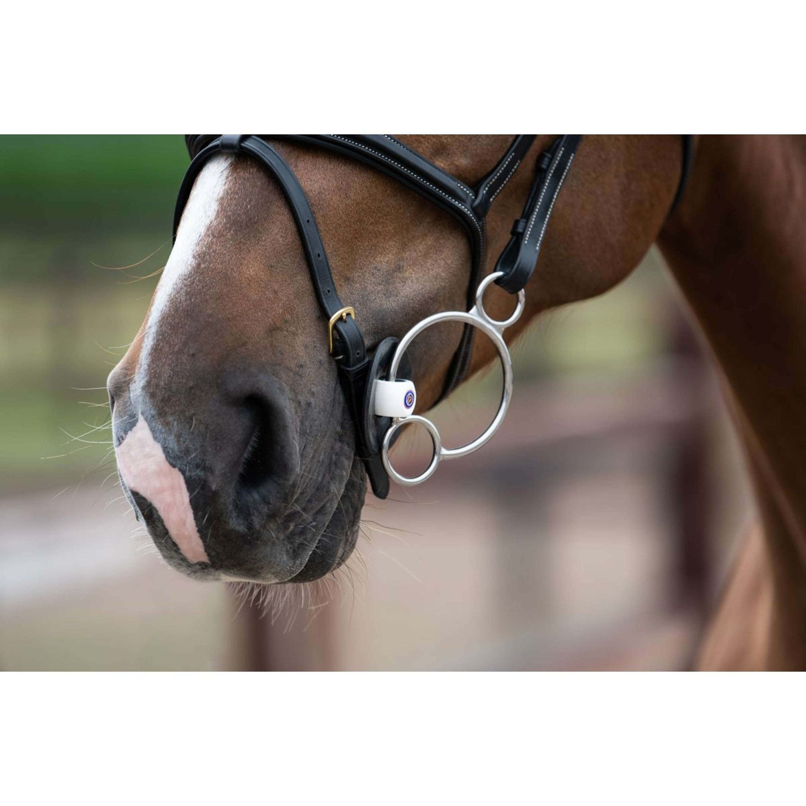 Trust Pessoa Gebiss Inno Sense 2,5 Ring Port Medium Slim 14mm Trust Pessoa Gebiss Inno Sense 2,5 Ring Port Medium Slim 14mm