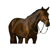 Trust Zaum Amsterdam Braun/Silber