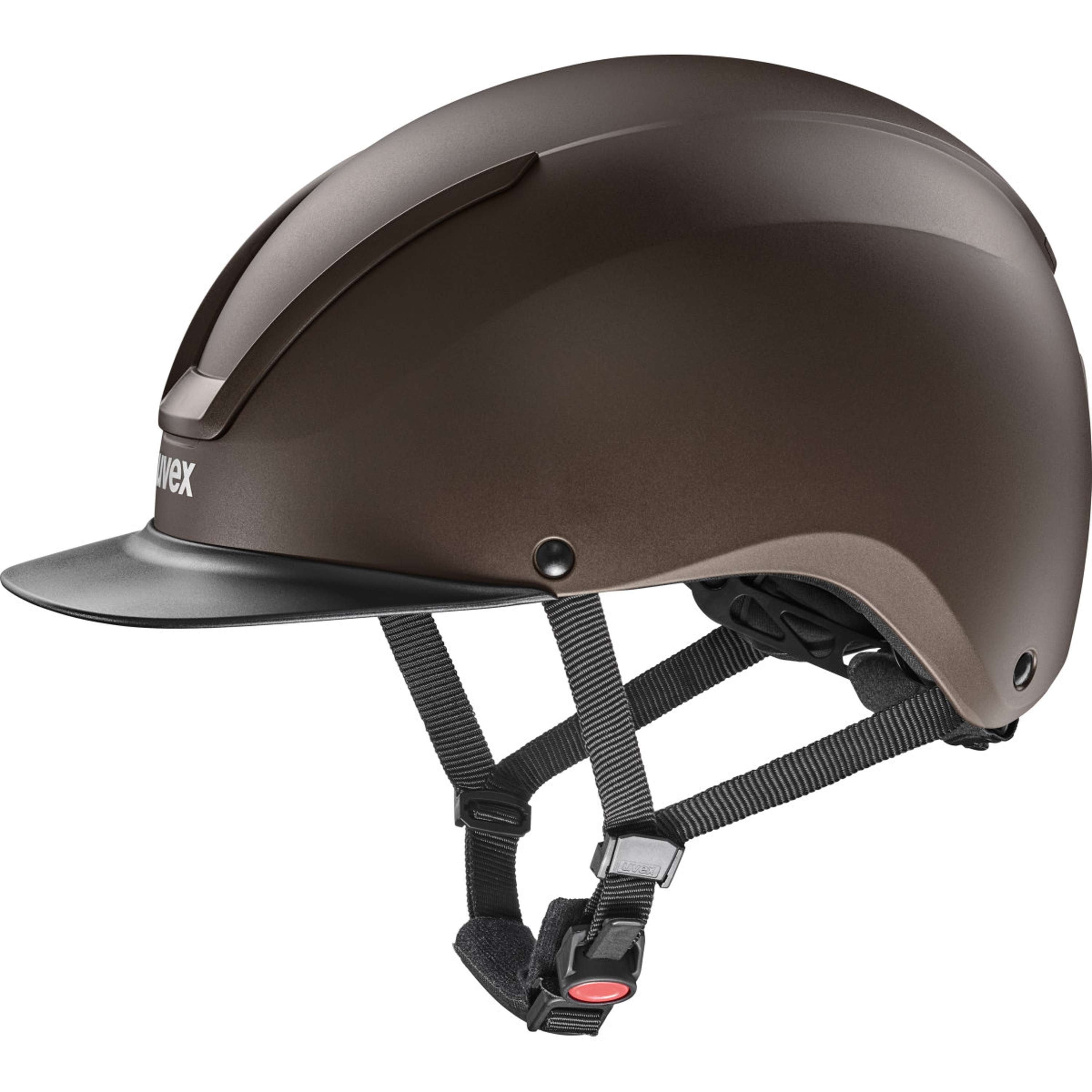 Uvex Reithelm Ixxo Active Matt Braun