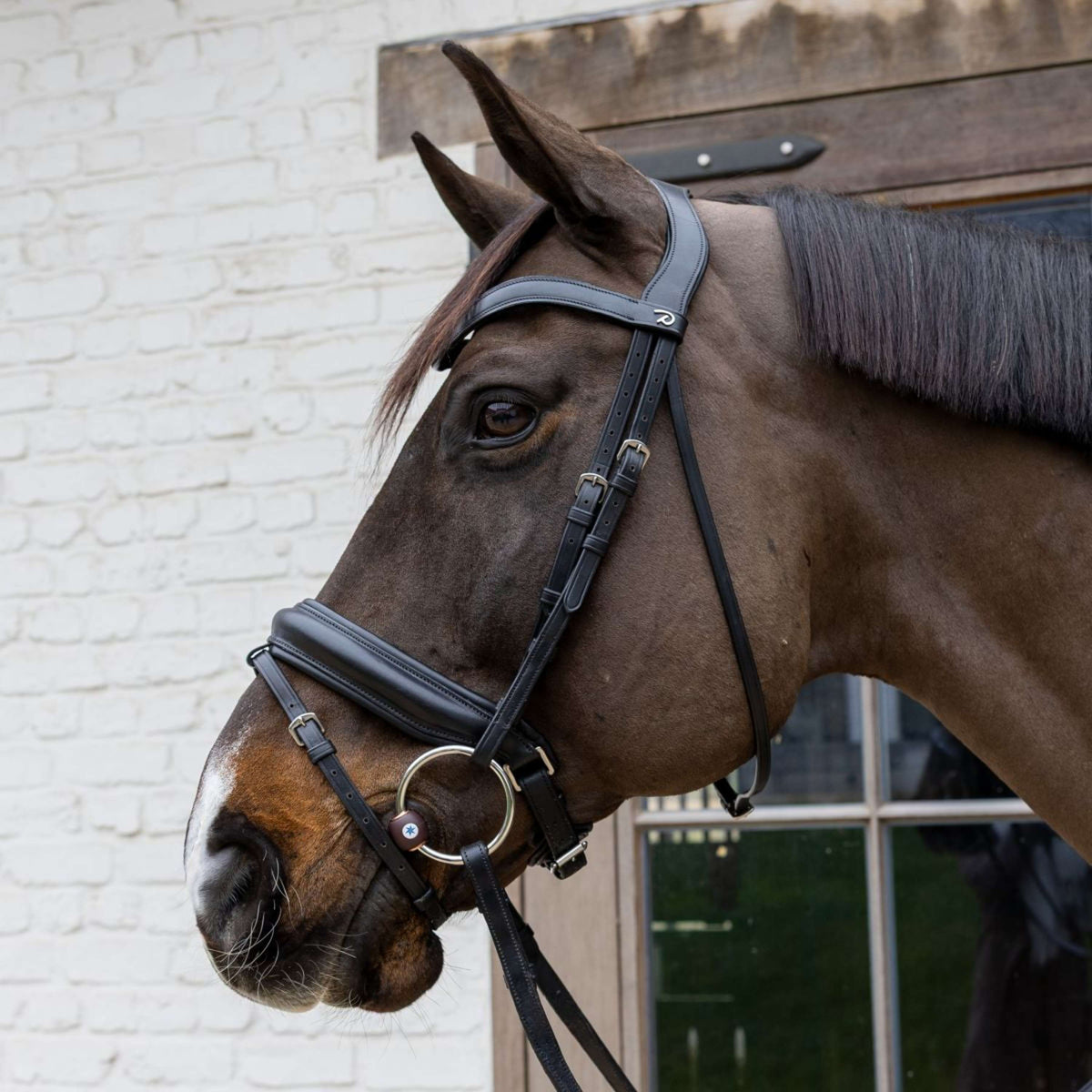 Velari Wassertrense Flex Hard 20mm