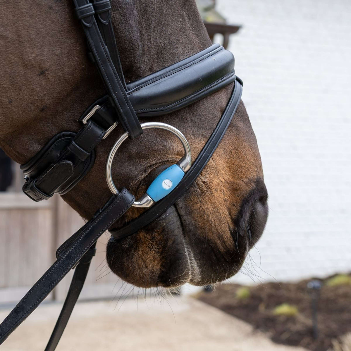 Velari Büstentrense Flex Medium 20mm