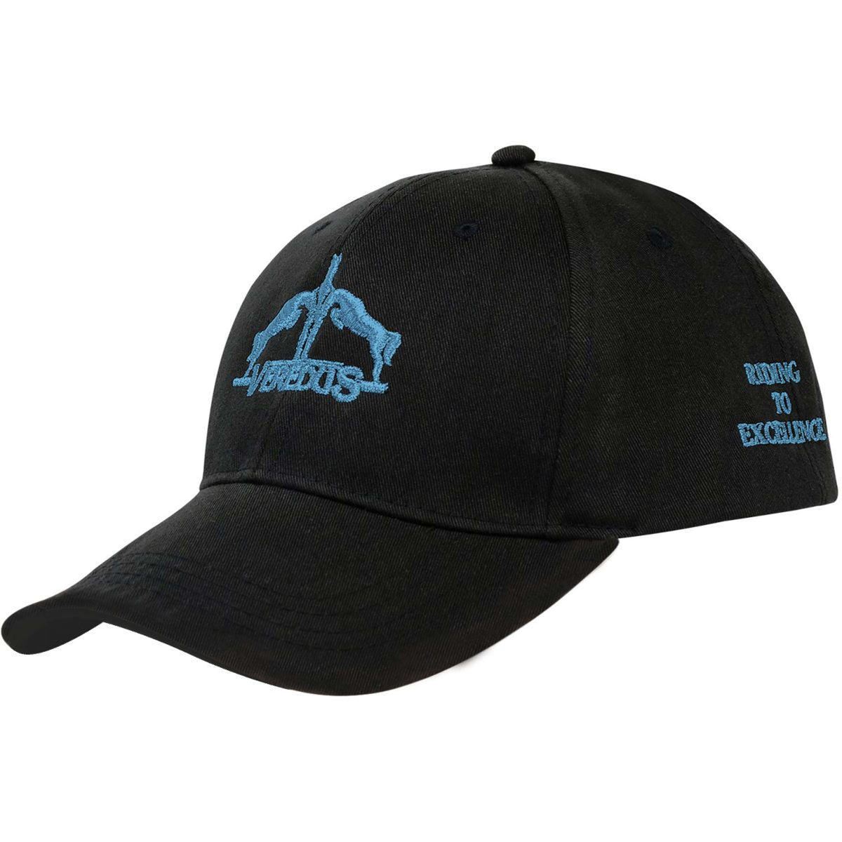 Veredus Cap Veredus Logo Hellblau