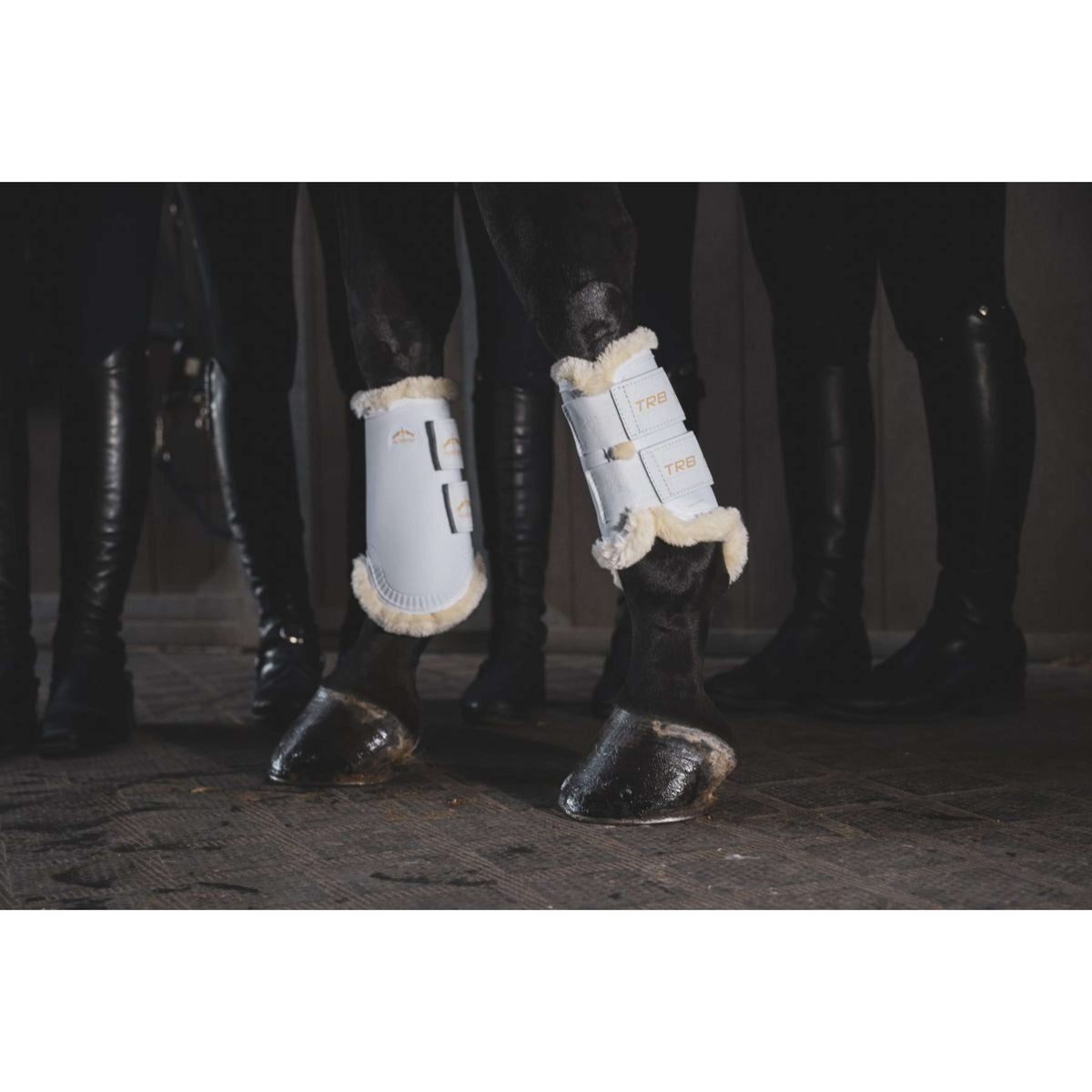 Veredus Gamaschen TRB Save the Sheep Rear Weiß