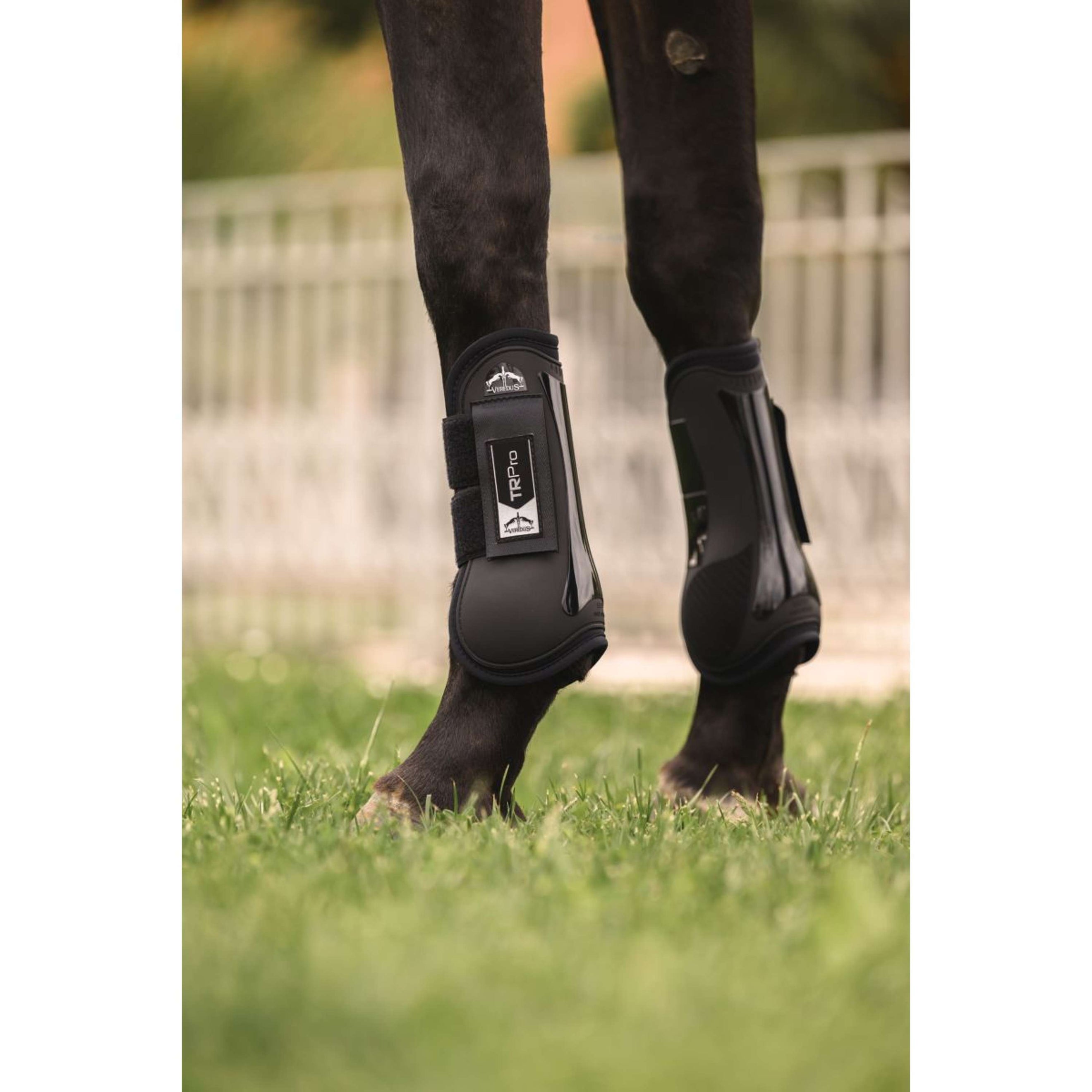Veredus Sehnenschutz TR PRO Front Schwarz Veredus Sehnenschutz TR PRO Front Schwarz