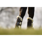 Veredus Sehnenschutz Carbon Gel Absolute Save the Sheep Front Braun