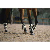 Veredus Streichkappen Carbon Gel Absolute Save the Sheep Rear Schwarz